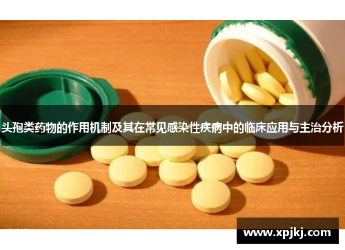 头孢类药物的作用机制及其在常见感染性疾病中的临床应用与主治分析