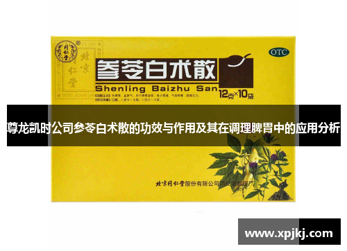 尊龙凯时公司参苓白术散的功效与作用及其在调理脾胃中的应用分析